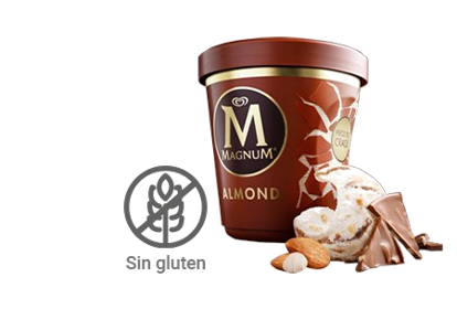 Imagen de Tarrina Magnum Almond (440ml)